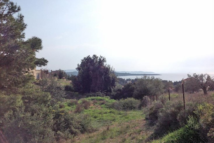 Realty photo 1