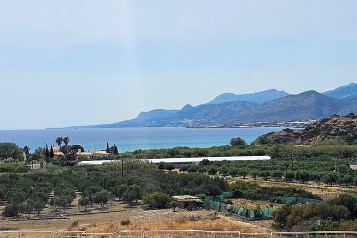 Realty photo 1