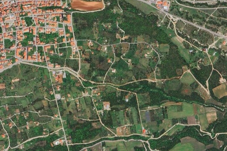Realty photo 2