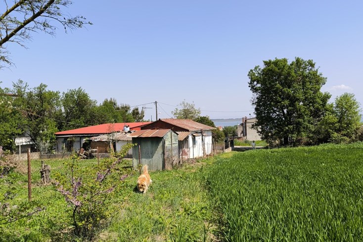Realty photo 1