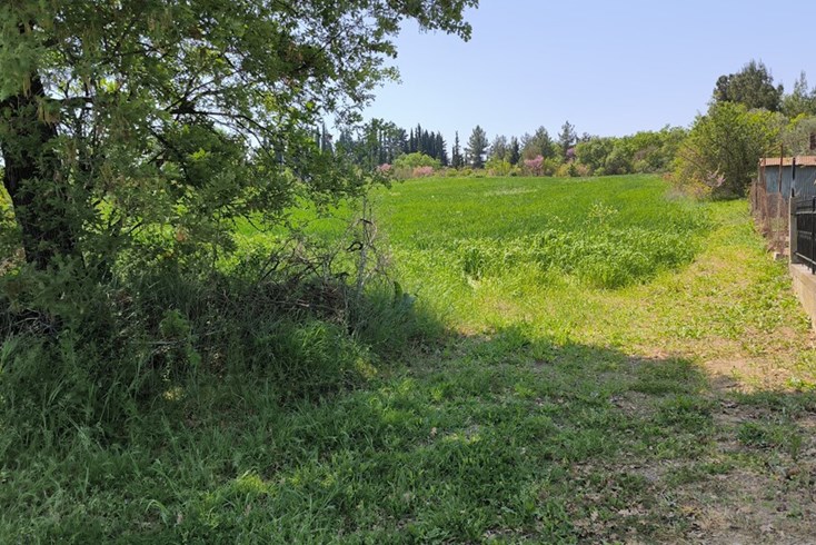Realty photo 2