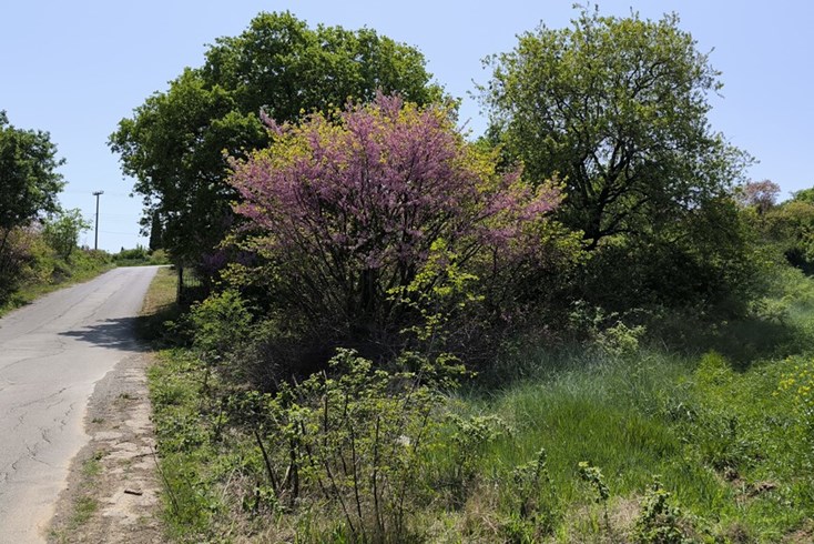 Realty photo 2