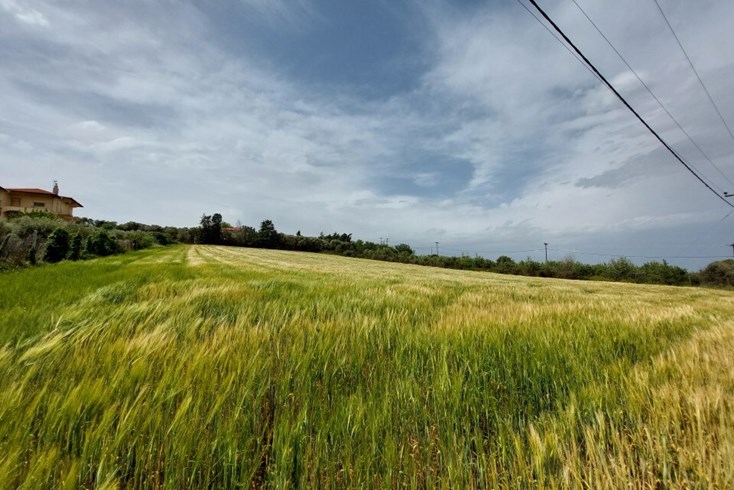 Realty photo 1