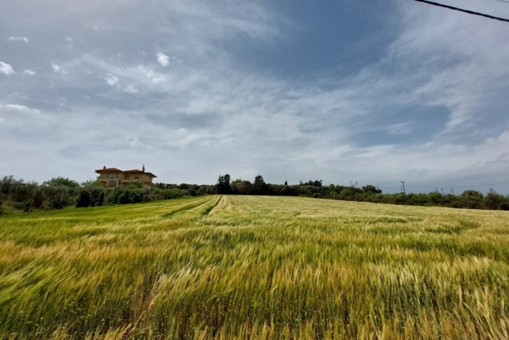 Realty photo 2