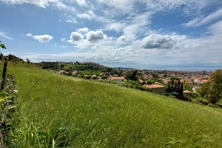 Realty photo 2