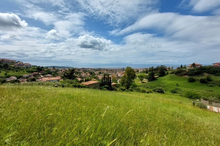 Realty photo 3