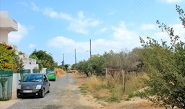 Land 1300 m² auf Kreta