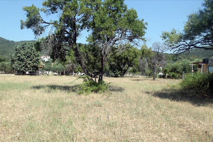 Realty photo 3