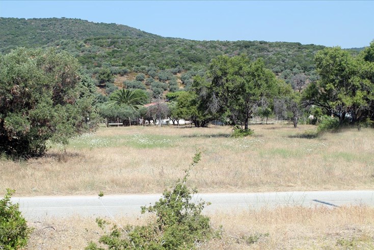 Realty photo 2