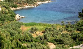 Land 2850 m² auf Athos (Chalkidiki)