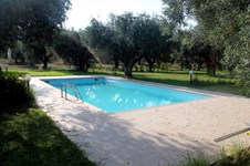 Property 5923 photo 3