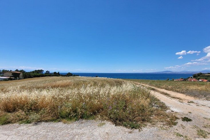 Realty photo 3
