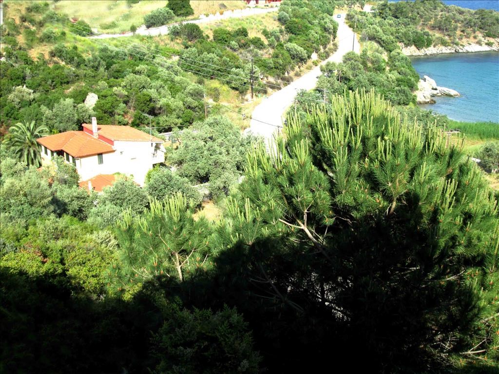 For Sale - Detached house 100 m² in Sithonia, Chalkidiki