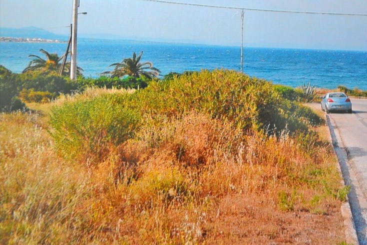 Realty photo 3