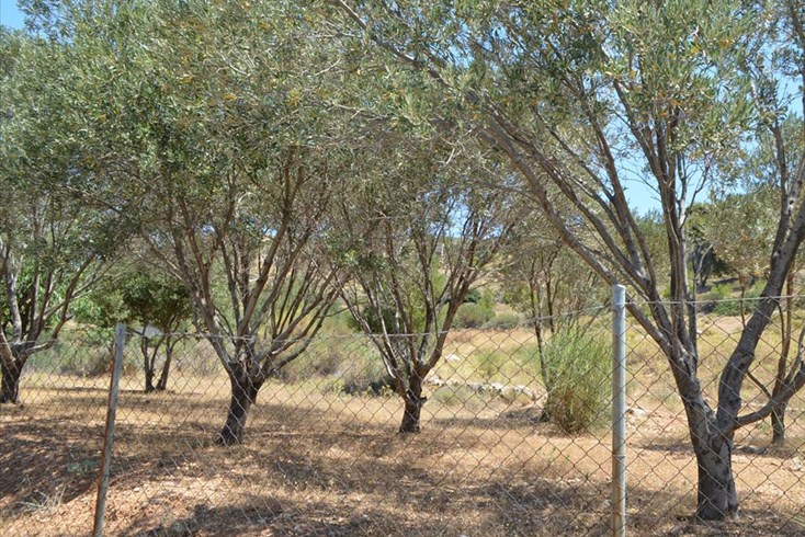Realty photo 2