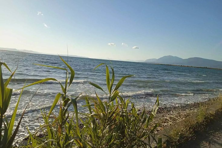 Realty photo 1