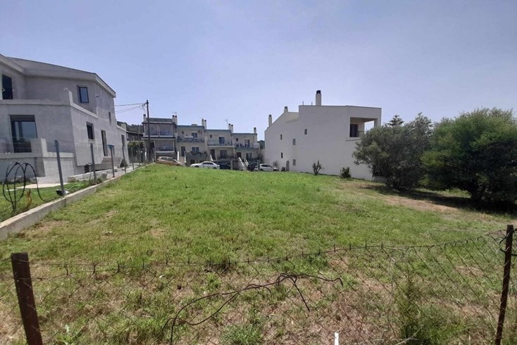Realty photo 1
