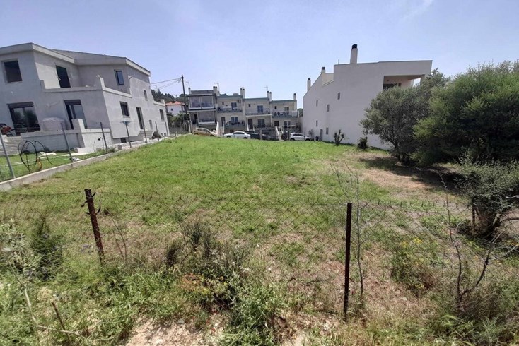 Realty photo 2