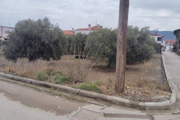 Realty photo 3