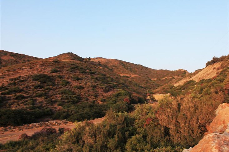 Realty photo 3