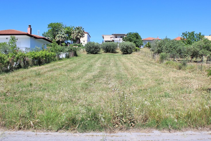 Realty photo 2