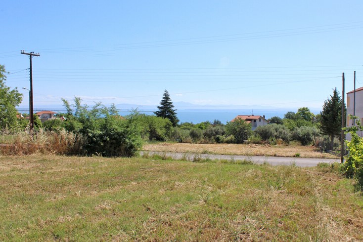 Realty photo 1