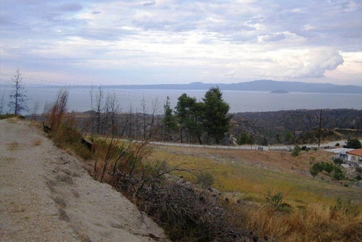Realty photo 3