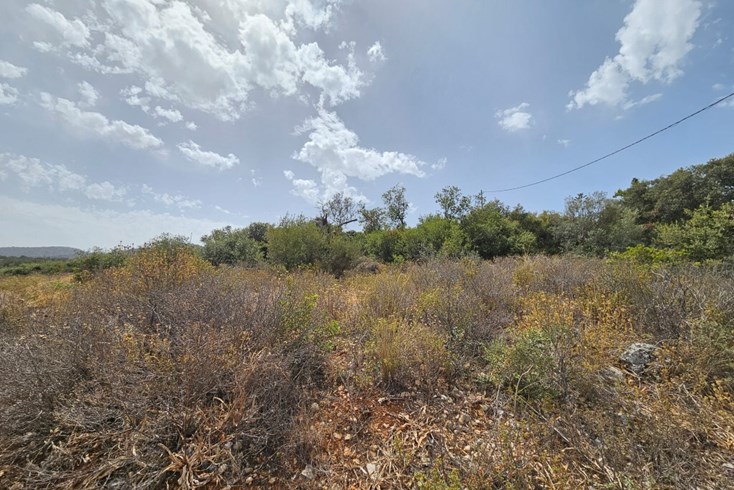 Realty photo 3