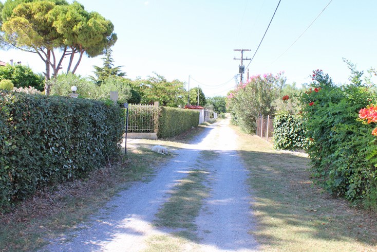 Realty photo 3