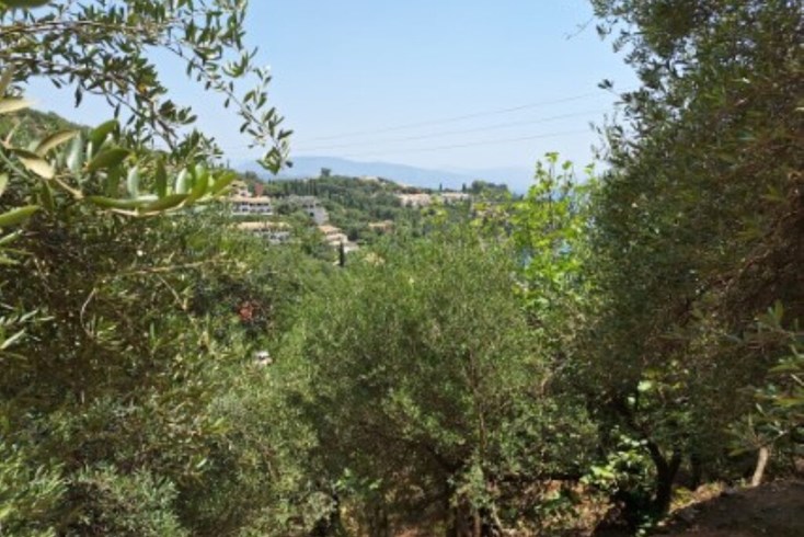Realty photo 2