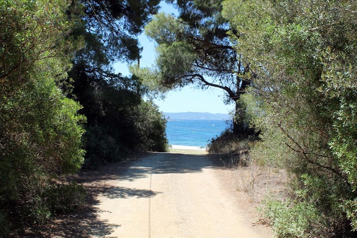 Realty photo 1