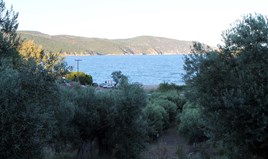 Land 6450 m² auf Athos (Chalkidiki)