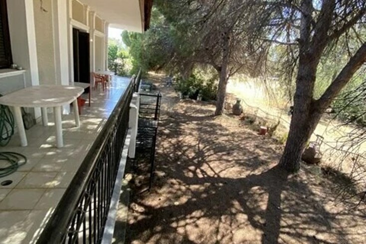 Realty photo 3