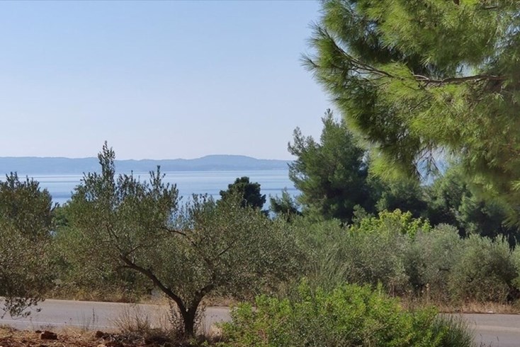 Realty photo 2