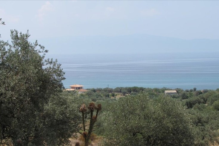 Realty photo 1