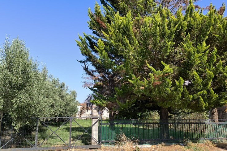 Realty photo 1