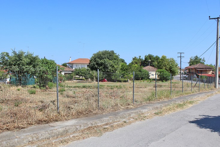 Realty photo 3