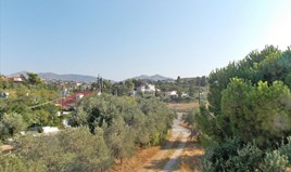 Zemljište 3000 m² na Atici