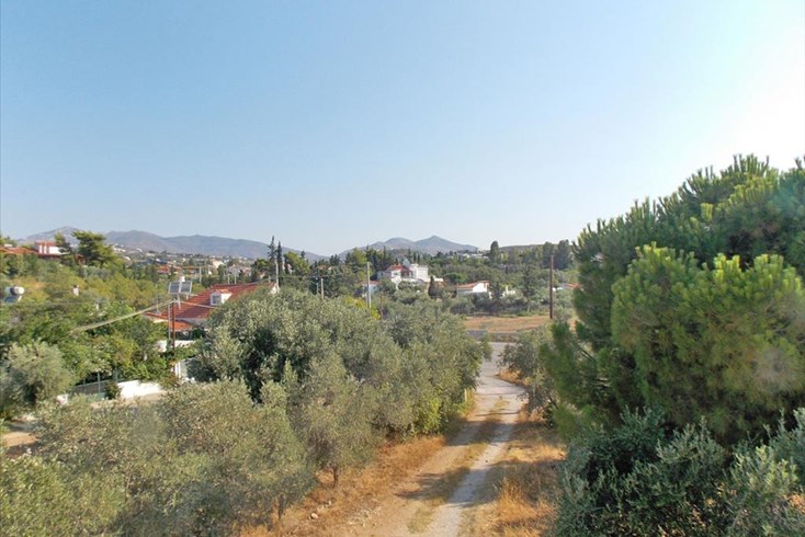 Realty photo 1