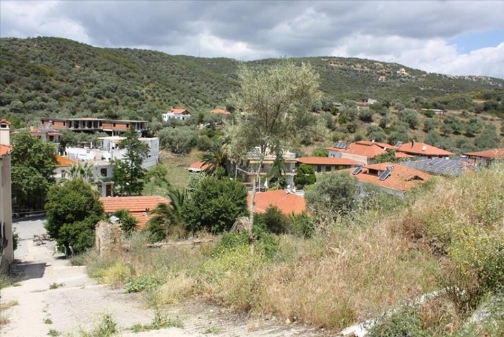 Realty photo 3