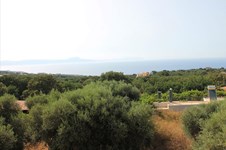 Property 6008 photo 14