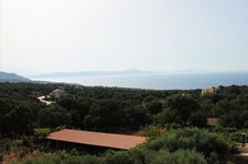 Property 6008 photo 15