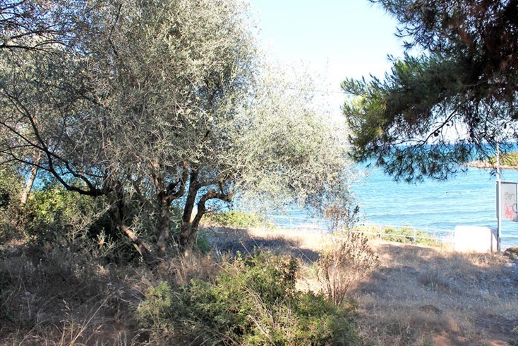 Realty photo 2