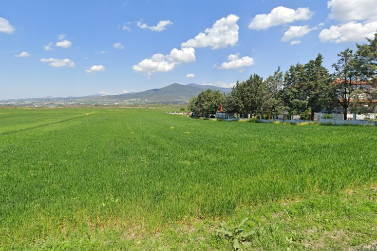 Realty photo 2