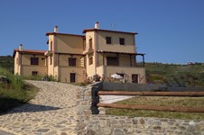 Property 602 photo 1