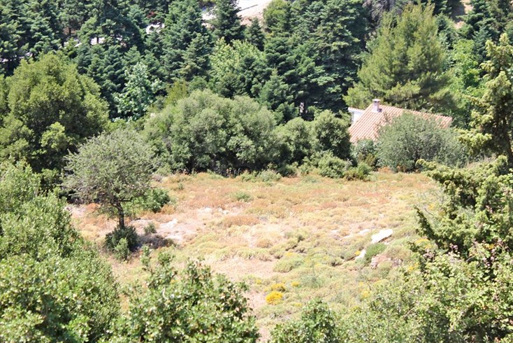 Realty photo 1