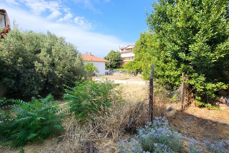 Realty photo 2