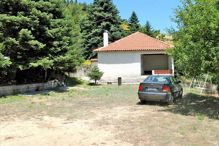 Realty photo 1