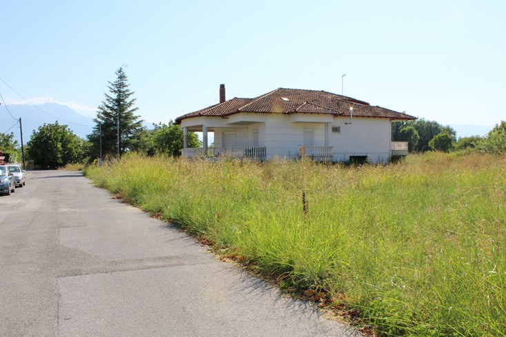 Realty photo 1