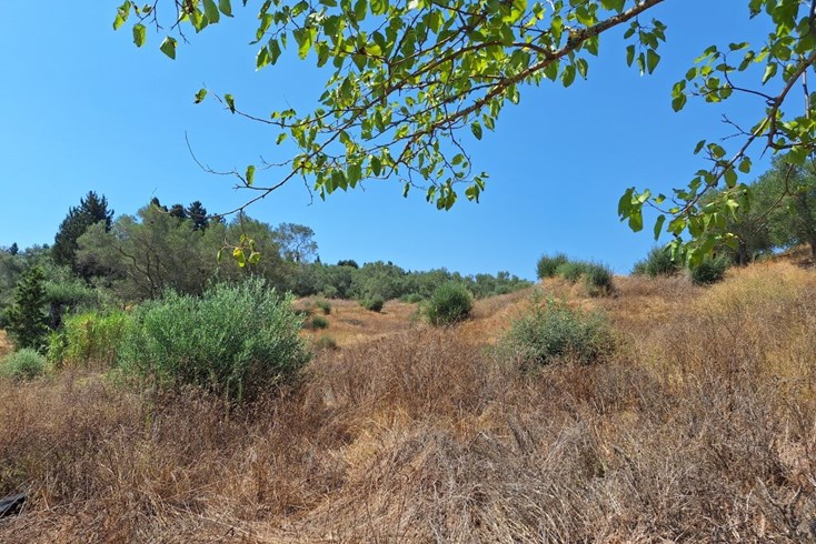 Realty photo 3